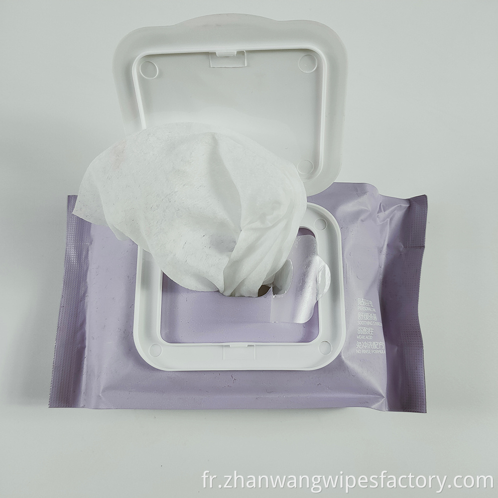 Custom Feminine Wipes Individually Wrapped Feminine Wash Wipes Adults Wipes 6